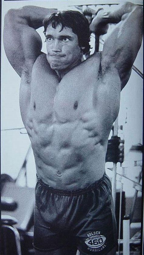 122 Best Images About Arnold Factory On Pinterest Arnold
