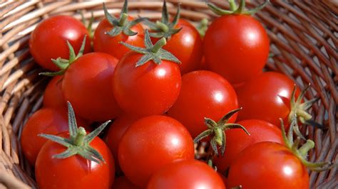 A Guide To Buying And Cooking Tomatoes Our Deer