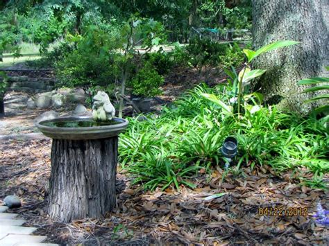 Make A Tree Stump Into A Bird Bath Outside Pinterest