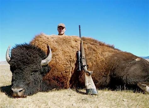 3 Day Bison Hunt In Colorado For 1 Hunter On 200000 Acres Of Private