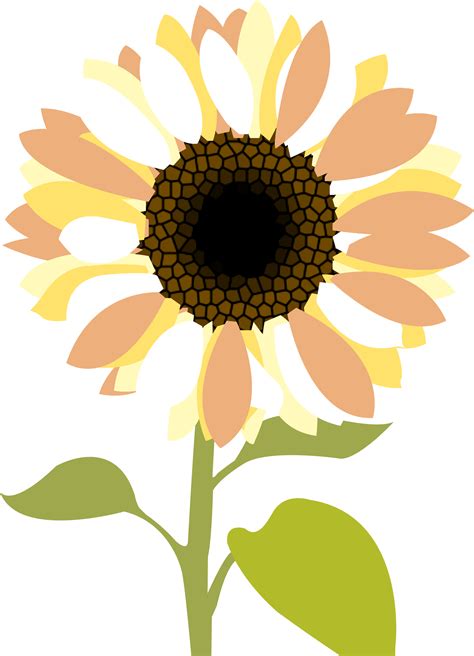 Sunflower Clip Art Black Background