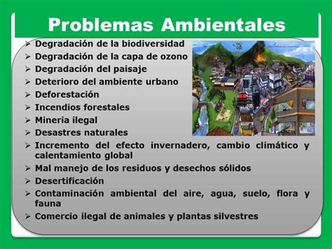 Problemas Ambientales Problema Ambiental Problemas Medioambientales Ense Anza De La Geograf A