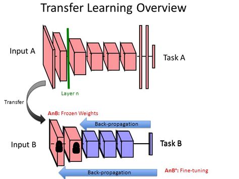Fine Tuning With Keras And Deep Learning Pyimagesearch Classification Using Transfer Learning