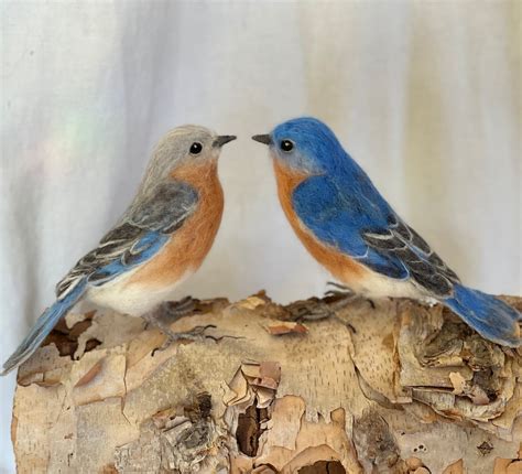 Needle Felted Bluebird Realistic Life Sized Eastern Bluebird Made To