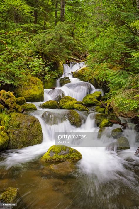 Waterfall On Watson Creek Umpqua National Forest Oregon ニュース写真