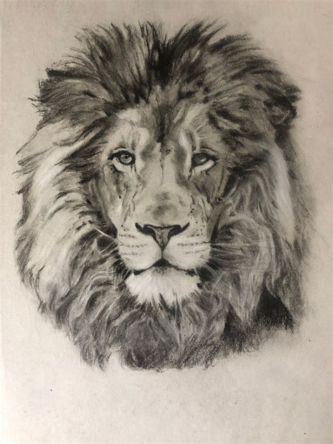 Drawing A Lion Realistic Art With Charcoal By Simon Medium