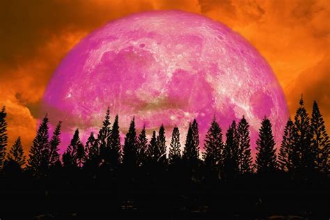 You Will Be Able To See The Pink Supermoon This April And Its The