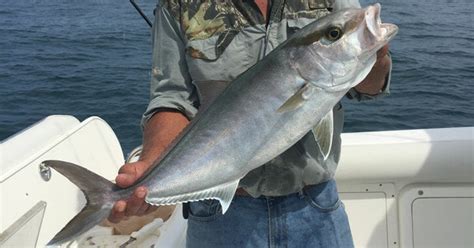 Florida Saltwater Fishing Trips Snapper Fishing Trips