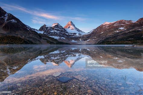 Mount Assiniboine High Res Stock Photo Getty Images