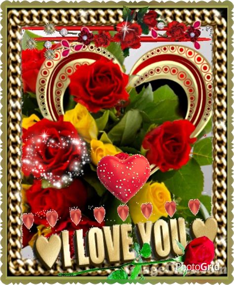 Floral Rose I Love You Quote Pictures Photos And Images For Facebook