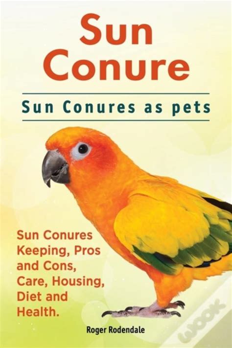 Sun Conure Sun Conures As Pets Sun Conures Keeping Pros And Cons