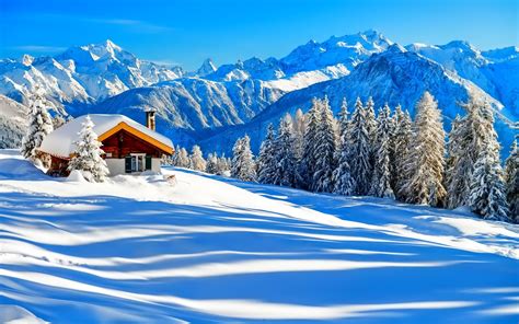 Wallpaper Winter Snow House Trees Nature Forest