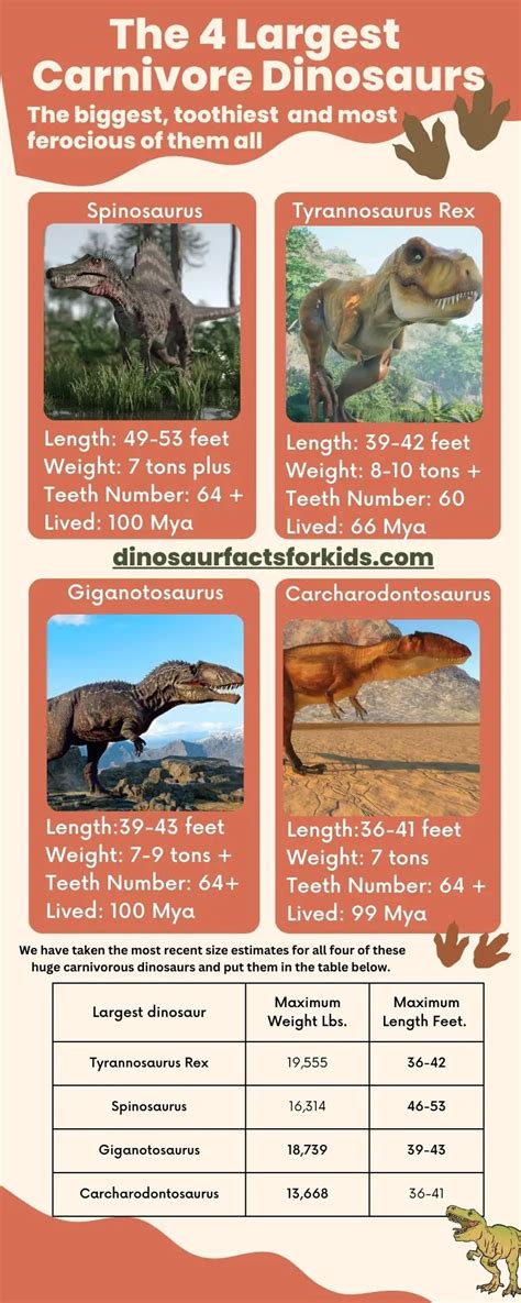 What Were The Largest Meat Eating Dinosaurs Dinosaur Facts For Kids