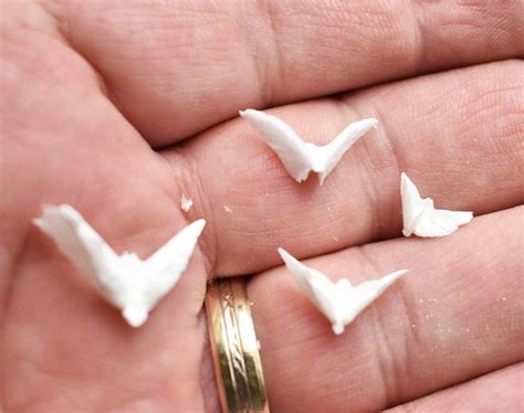 25 Amazing Sand Dollar Doves Tiny And Small Etsy
