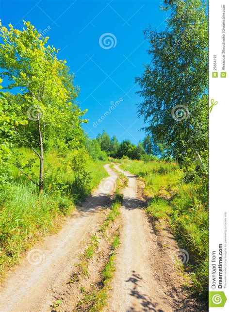 Rut In The Forest Beneath Blue Sky Stock Image Image Of Grass Plant