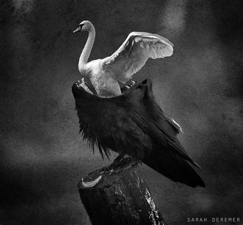 Surreal Black And White Photography By Sarah Deremer