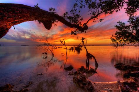 Mangroves At Sunset Key Largo Florida The Ubiquitous Fl Flickr