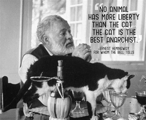 Ernest Hemingway Loved Cats Especially Ones With Extra Toes 21 Quotes That Will Make You Want