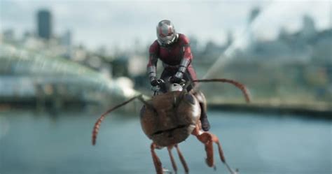 Ant Man And The Wasp New Hi Res Stills Spotlight Scott And Hope Teaming