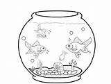 Fish Coloring Aquarium Bowl Clipart Template Tank Printable Sheet Outline Pet Goldfish Fishes Colouring Cliparts Cat Sketch Drawing Clip Ocean sketch template