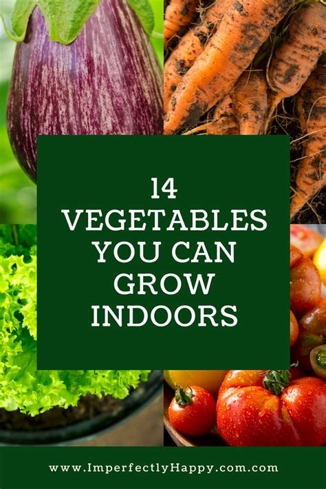 14 Vegetables You Can Grow Indoors Anytime Indoor Vegetable Gardening