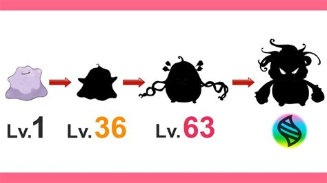 We also included the shiny stardust cost amount. Ditto Evolution - Fanart ( Ver 1 ). - YouTube