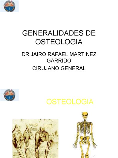 Generalidades De Osteologia Pdf Hueso Sistema Musculoesquelético