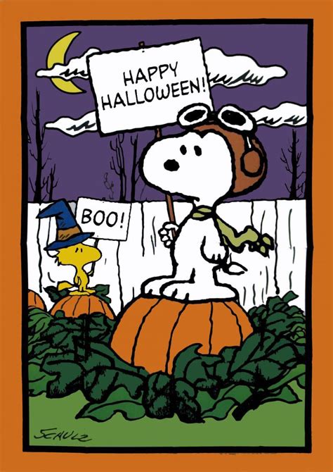 Halloween Snoopy Pictures Rare Large Nylon Printed Flag 28 X 40
