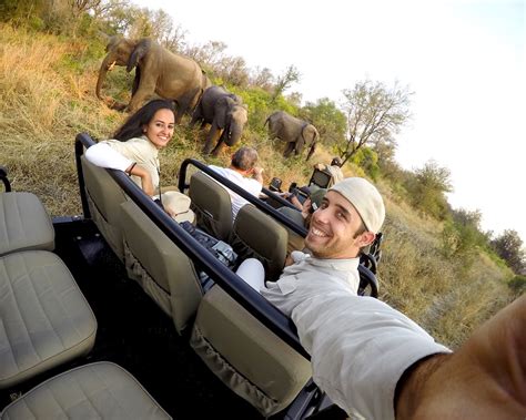 15 Consejos Para Hacer Un Safari En África Que Me Dio Mi Guía Diario De Un Mentiroso