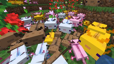 Minecraft Axolotls How To Get The Blue Axolotl And How To Tame And