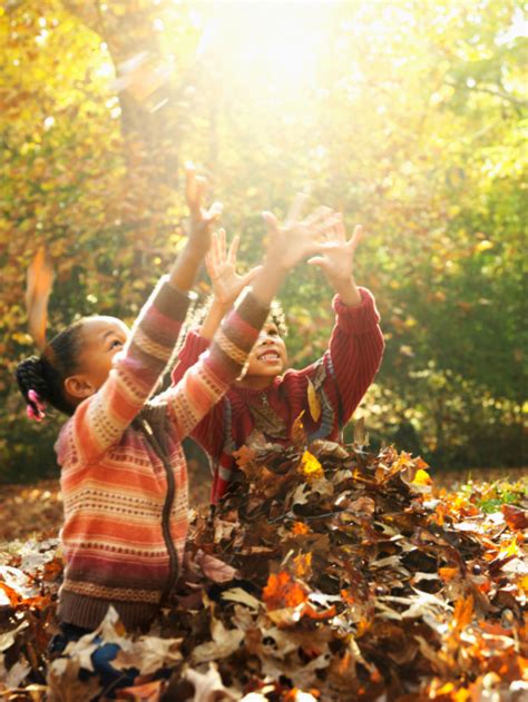 Children Playing In Leaves