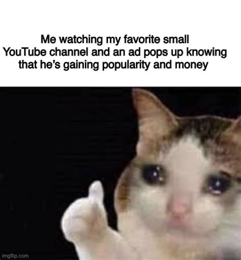 Crying Cat With Thumbs Up Memes Imgflip