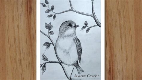 How To Draw A Bird Scenery With Pencil Step By Step Pencil Drawing For