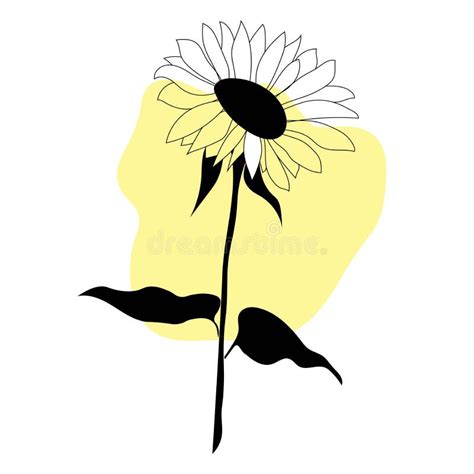 Sunflower Flower Line Art Freehand In Modern Trendy Style Minimalistic