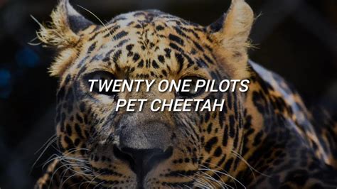 Twenty One Pilots Pet Cheetah Lyrics Youtube