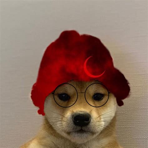 Pin By Vaadefred On Dogwifhat In 2020 Dogs Hats Doge