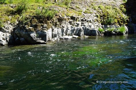 Keenig Creek Wilson River Coast Range Oregon Discovery