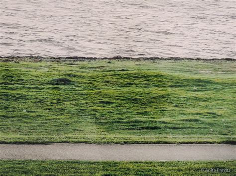 😀 Andreas Gursky Rhein Ii Andreas Gurskys Rhine Ii Photograph Sells For 43m 2019 03 01