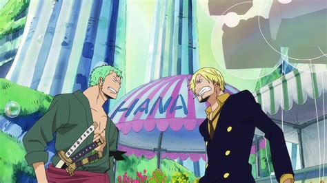 Why Do Zoro And Sanji Always Fight In One Piece