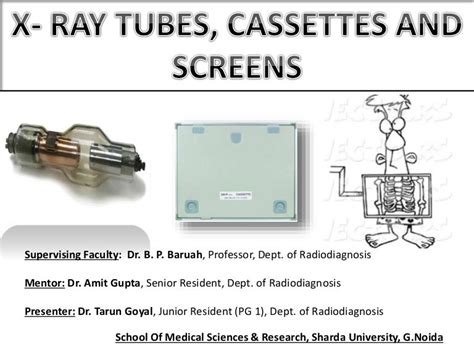 x ray tube cassette and screens