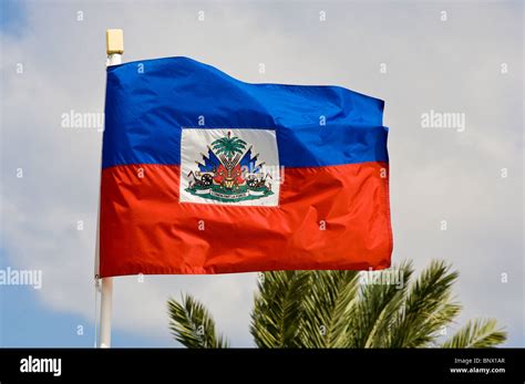 haitian male model flag
