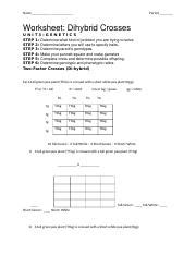 Dihybrid_cross_worksheet_answer_sheet.pdf is hosted at www.kuimba.co.uk since 0, the book dihybrid cross worksheet answer sheet contains 0 pages, you. Bestseller: Biology Chapter 10 Dihybrid Cross Worksheet ...