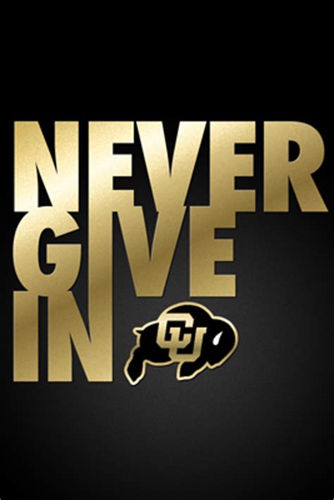 Colorado buffaloes wordmark logo sports logo history. Colorado Daily - CSU - CU At the Game