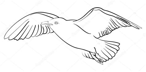 Flying Seagull Drawing At Getdrawings Free Download