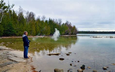 Robin Overlooking Cyprus Lake In Bruce Peninsula National Park Ontario