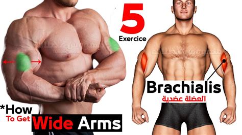 How To Get Wider Biceps Effective Exercises Youtube