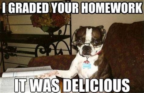 I Graded Your Homework Dog Humor