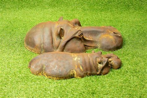 Check spelling or type a new query. Rusting Resin Hippo Gifts x2, Hippo Head + Baby Hippo ...