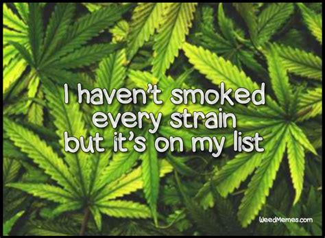 Check spelling or type a new query. Every Strain On List To Smoke Marijuana Quotes Weed Memes