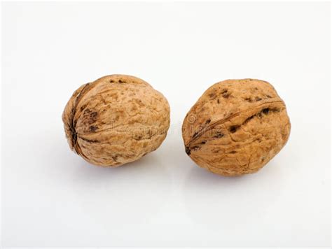 Two Nuts Stock Photo Image Of Nuts Healthy Natural 5536680